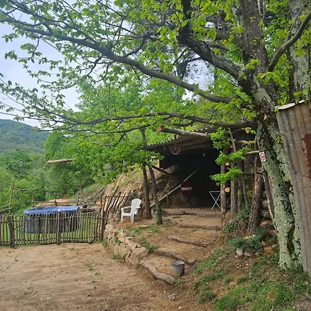 Ferienhaus Le Cabistrou Issamoulenc