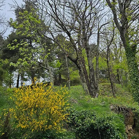 Le Cabistrou